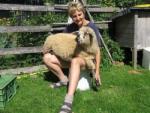 Angeh�ngtes Bild
