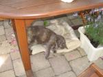 Angeh�ngtes Bild