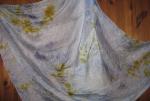 Angeh�ngtes Bild