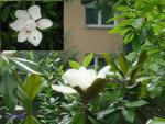 Angeh�ngtes Bild