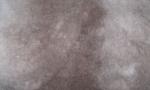 Angeh�ngtes Bild