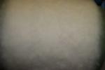 Angeh�ngtes Bild