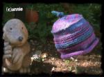 Angeh�ngtes Bild