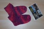 Angeh�ngtes Bild