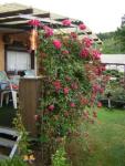 Angeh�ngtes Bild