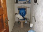 Angeh�ngtes Bild