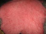 Angeh�ngtes Bild
