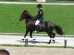 Angeh�ngtes Bild