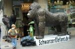 Angeh�ngtes Bild