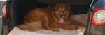 Angeh�ngtes Bild