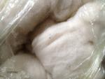 Angeh�ngtes Bild