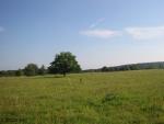 Angeh�ngtes Bild