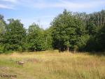 Angeh�ngtes Bild