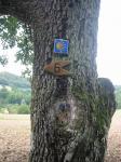 Angeh�ngtes Bild