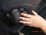 Angeh�ngtes Bild