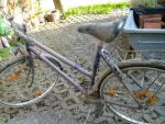 Angeh�ngtes Bild