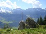 Angeh�ngtes Bild