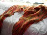 Angeh�ngtes Bild