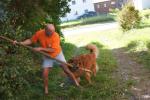 Angeh�ngtes Bild