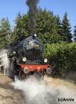 Angeh�ngtes Bild