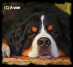 Angeh�ngtes Bild
