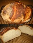 Angeh�ngtes Bild