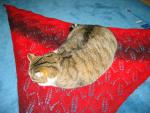 Angeh�ngtes Bild