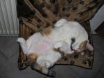 Angeh�ngtes Bild