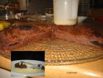 Angeh�ngtes Bild