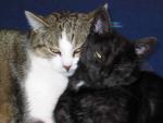 Angeh�ngtes Bild