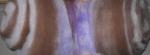Attached Image