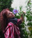 Angeh�ngtes Bild