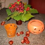 Angeh�ngtes Bild