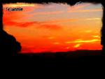 Angeh�ngtes Bild