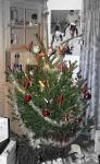 Angeh�ngtes Bild