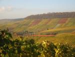 Angeh�ngtes Bild