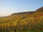 Angeh�ngtes Bild