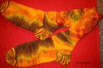 Angeh�ngtes Bild