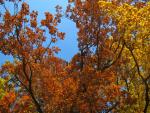 Angeh�ngtes Bild