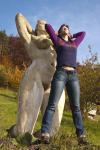 Angeh�ngtes Bild