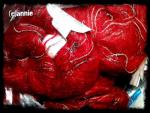 Angeh�ngtes Bild