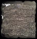 Angeh�ngtes Bild