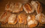 Angeh�ngtes Bild