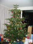 Angeh�ngtes Bild