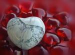 Angeh�ngtes Bild