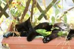 Angeh�ngtes Bild