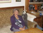Angeh�ngtes Bild