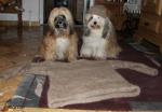 Angeh�ngtes Bild