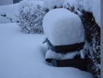 Angeh�ngtes Bild