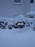 Angeh�ngtes Bild